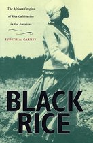 Black Rice - The African Origins of Rice Cultivation in the Americas
