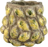 Fisura Decoratieve Plantenbak Met Ogen. Originele Bloempot Voor Binnen Pot Pootjes Cactus Keramische Bloempot Afmetingen 13 X 12 5 Cm Geel 753732803