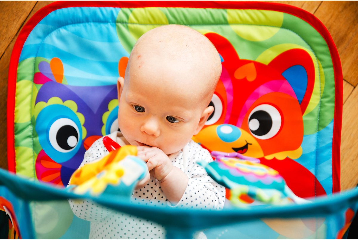 Playgro Baby Kruiptunnel Dieren Honey Bee Bear — afbeelding 9