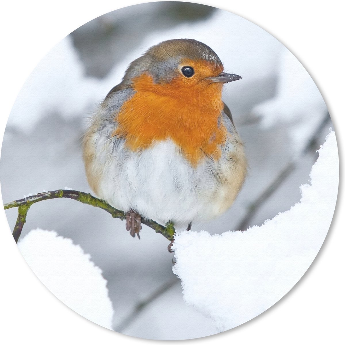 Muismat rond 50x50 cm - Mousepad Roodborstje - Sneeuw - Winter - Ronde muismatten