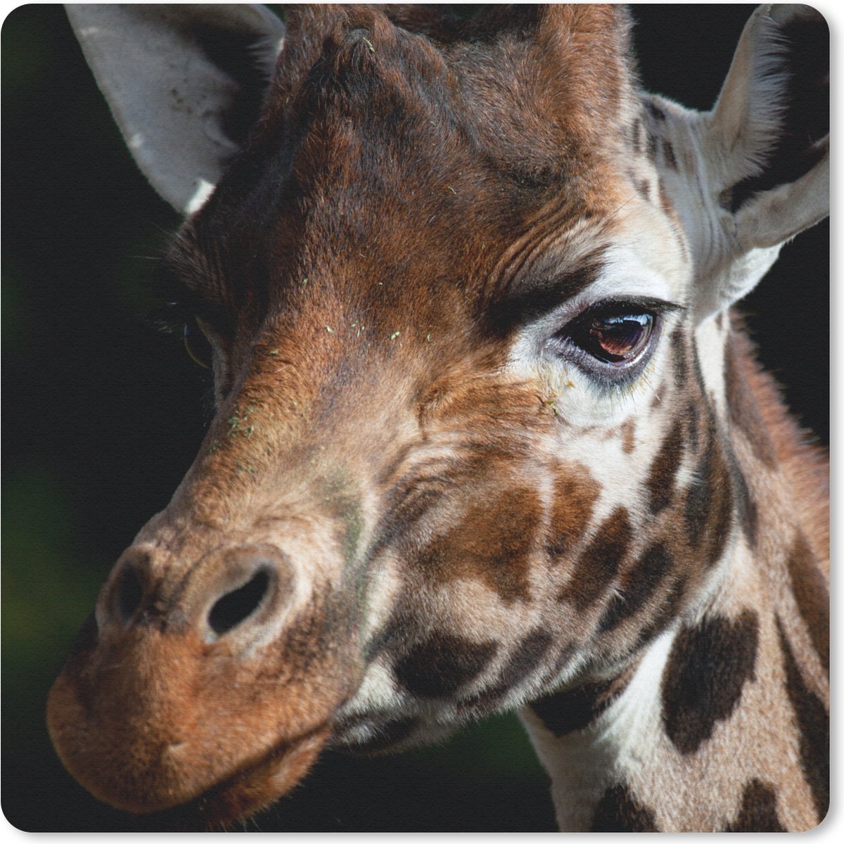 Muismat 20x20 cm - Mousepad Giraffe - Licht - Zwart - Muismatten