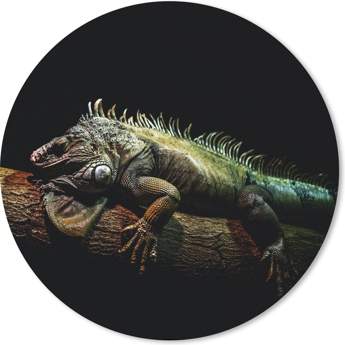 Muismat rond 40x40 cm - Mousepad Dier - Tak - Zwart - Ronde muismatten