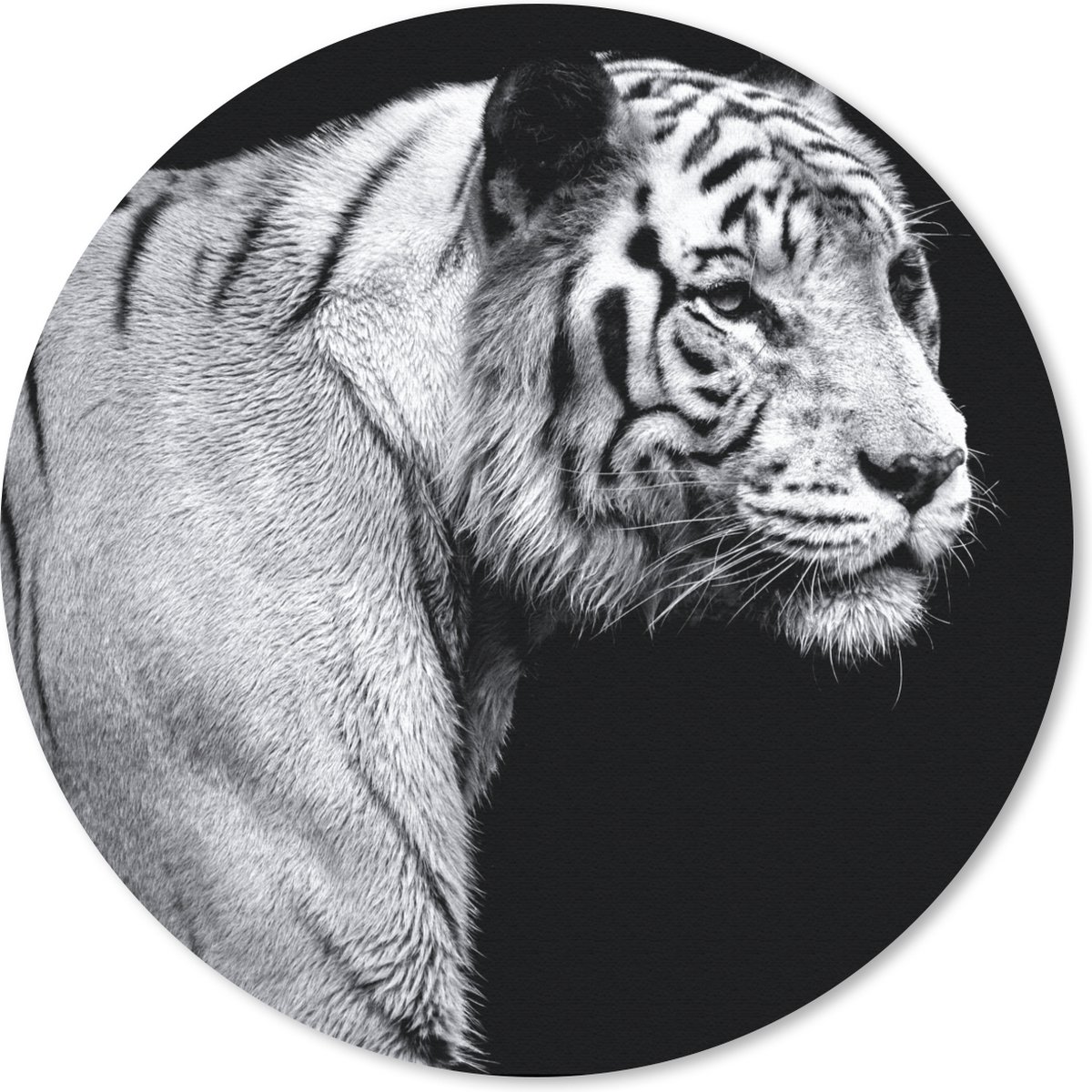 Muismat rond 50x50 cm - Mousepad Tijger - Wilde dieren - Licht - Ronde muismatten