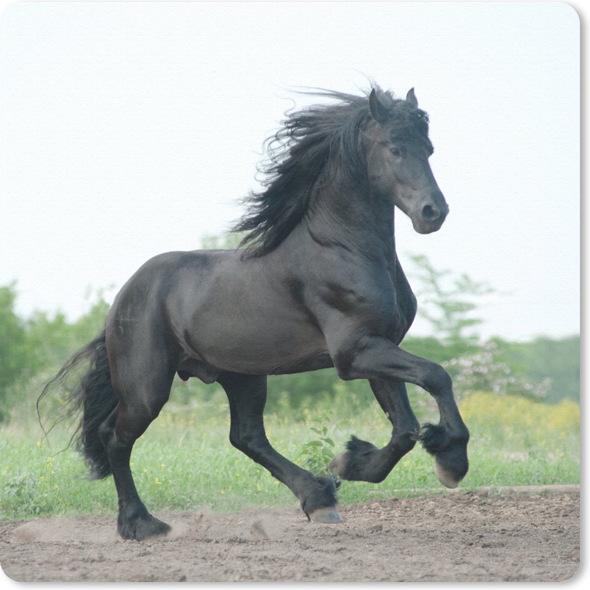Muismat 30x30 cm - Mousepad Paard - Zwart - Natuur - Muismatten