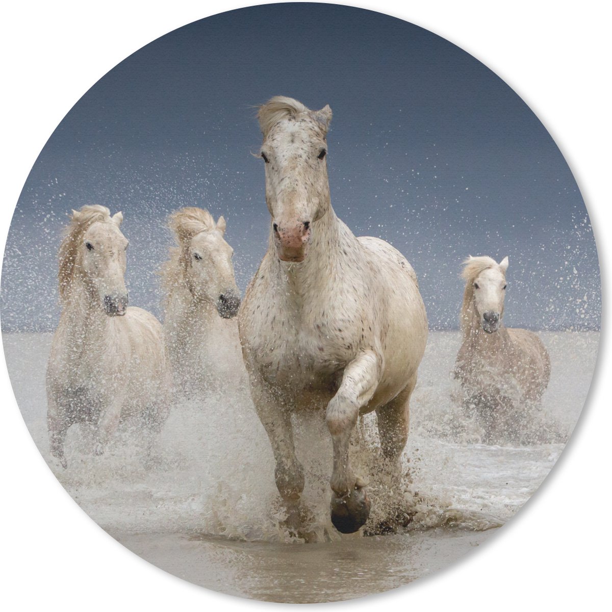Muismat rond 20x20 cm - Mousepad Paarden - Water - Modder - Ronde muismatten