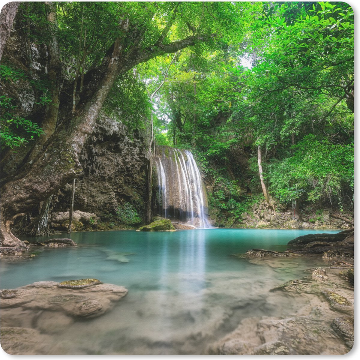 Muismat 20x20 cm - Mousepad Jungle - Waterval - Planten - Water - Natuur - Muismatten