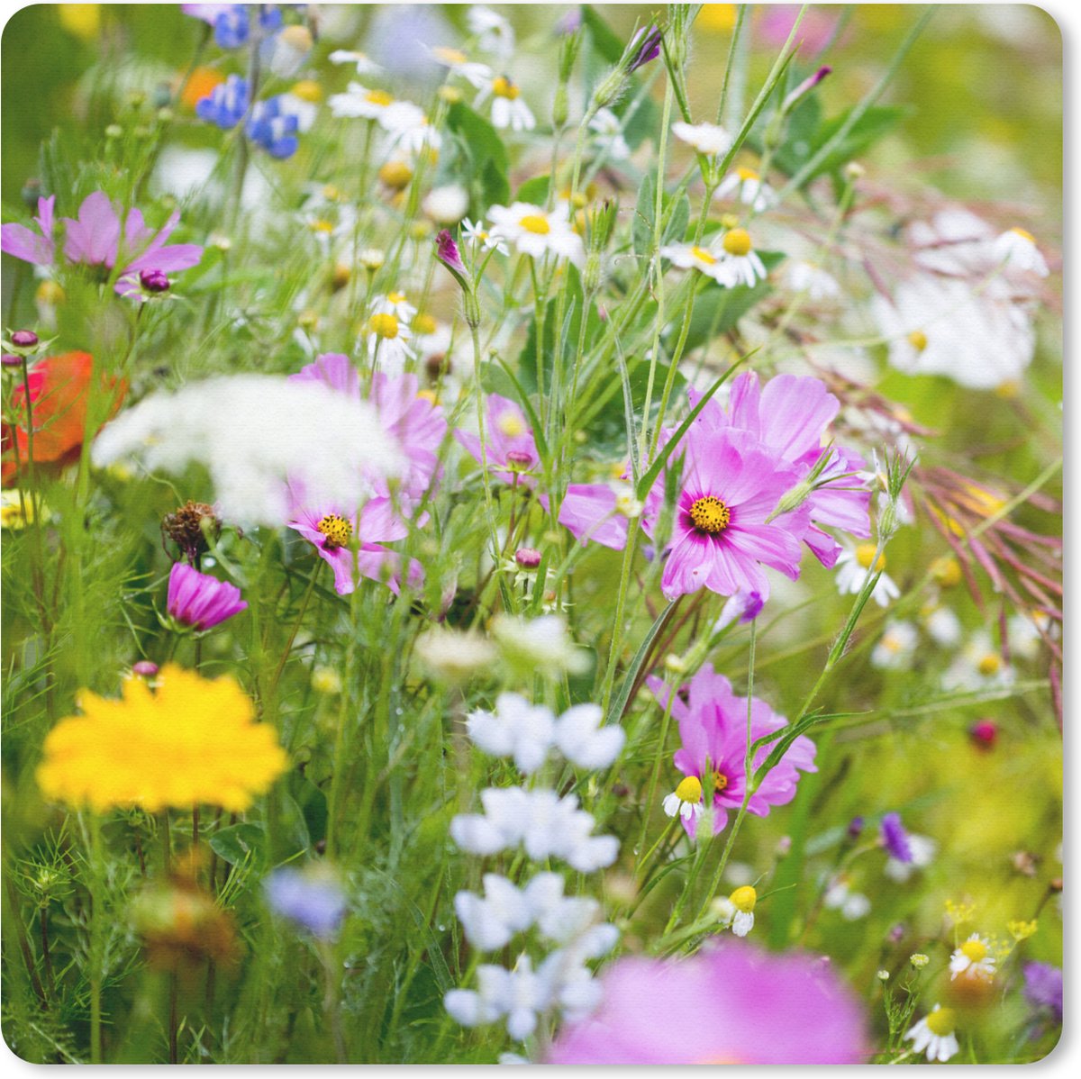 Muismat 20x20 cm - Mousepad Bloemen - Natuur - Groen - Gras - Paars - Wit - Muismatten