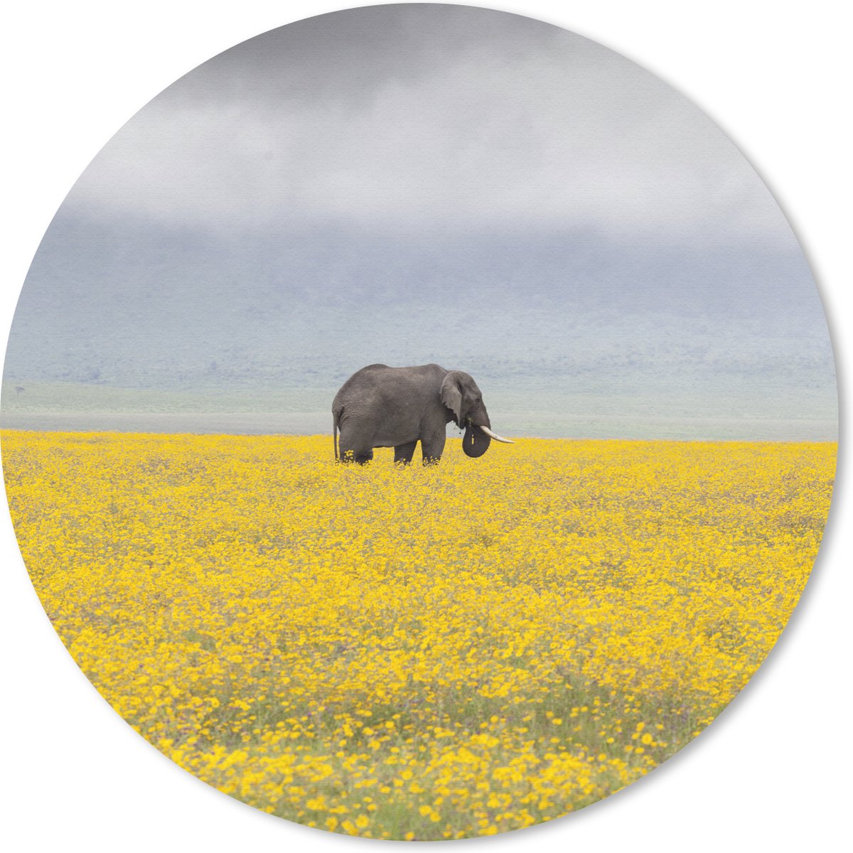 Muismat rond 20x20 cm - Mousepad Olifant - Bloemen - Natuur - Geel - Dieren - Ronde muismatten