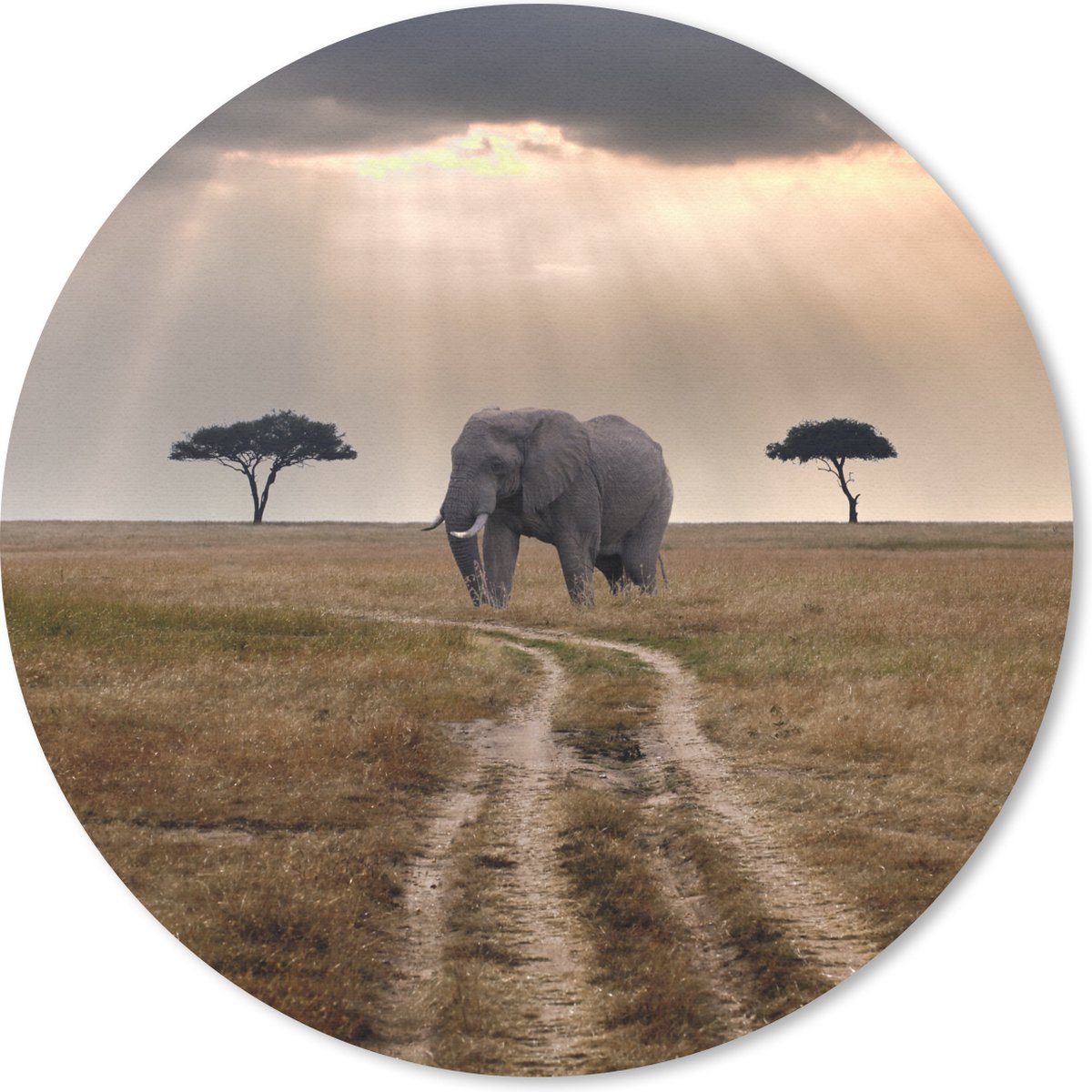 Muismat rond 20x20 cm - Mousepad Olifant - Dieren - Grasvlakte - Zon - Ronde muismatten