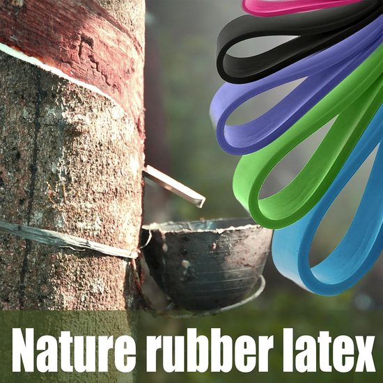 Fitnessbanden Premium Weerstandsbanden Set, Natuurlijke Latex Terra Band Voor Thuis Gym Krachttraining Apparatuur Pak Fitness Pull Up Training 591694680