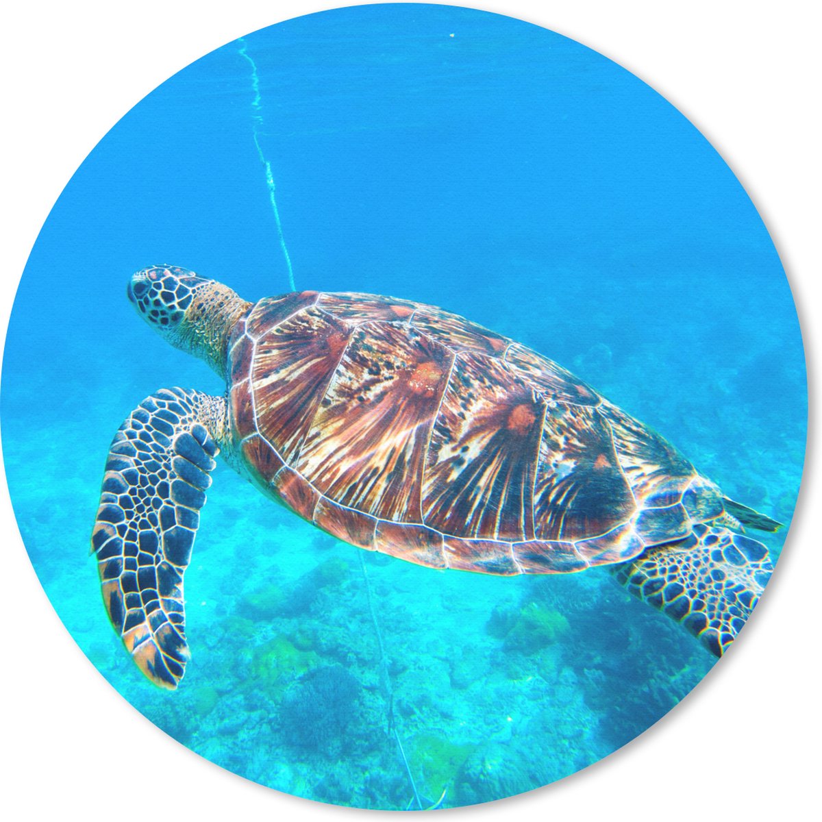 Muismat rond 40x40 cm - Mousepad Zee - Schildpad - Water - Ronde muismatten
