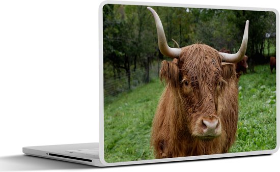Sticker pour ordinateur portable - 10,1 pouces - Scottish Highlander - Animaux - Herbe
