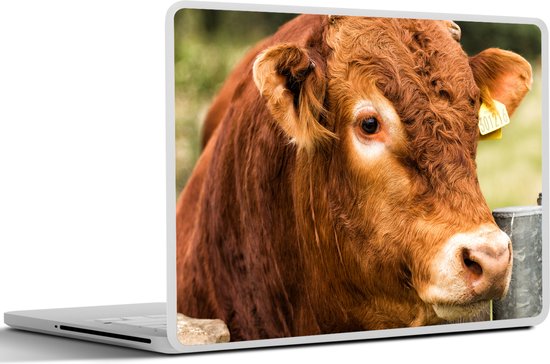 Autocollant pour ordinateur portable - 10,1 pouces - Highlander écossais - Berg - Clôture - 25x18cm - Autocollants pour ordinateur portable - Peau d'ordinateur portable - Couverture