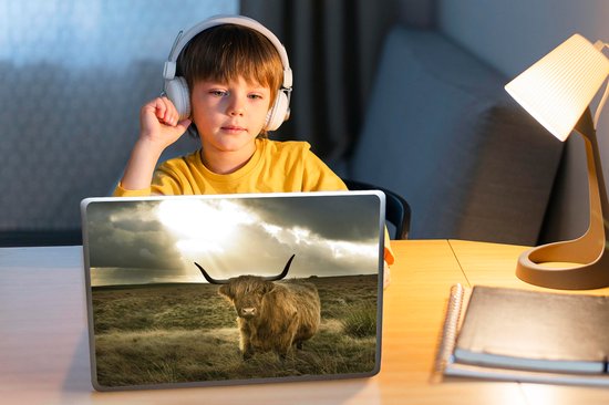 Autocollant pour ordinateur portable - 10,1 pouces - Highlander écossais - Soleil - Animaux - 25x18cm - Autocollants pour ordinateur portable - Peau pour ordinateur portable - Couverture