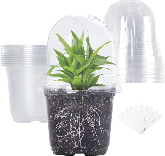 Microgreen kweekbakken, LUVCSOY kiembak met vochtigheidskoepel, 3 mm grote gaasgaten, BPA-vrij, kiemset voor het kweken van grote zaden, zoals zonnebloem, mungbonen, groene erwt - 6 stuks | Kleurrijk Microgreen kweekbakken, LUVCSOY kiembak met vochtigheidskoepel, 3 mm grote gaasgaten, BPA-vrij, kiemset voor het kweken van grote zaden, zoals zonnebloem, mungbonen, groene erwt - 6 stuks | Kleurrijk