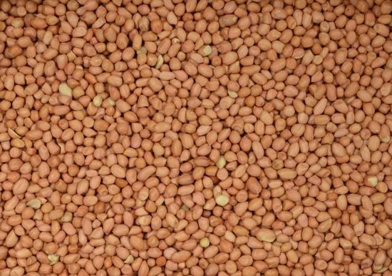 Wielink Pinda’s gepeld voor duiven 2,5 kg