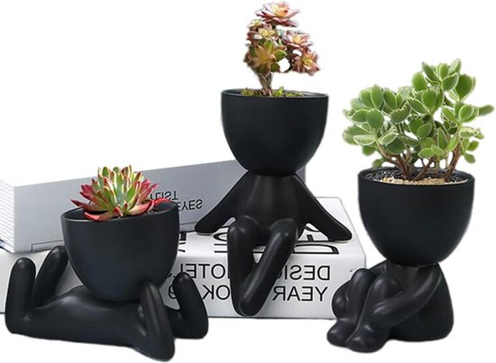 Keramische Beeldje Bloempot Succulente Planter voor Tuin Tuindecoratie