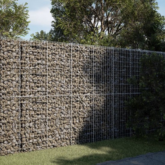 Panier à gabions vidaXL - 250 x 100 x 200 cm - Fer galvanisé