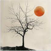Poster 75x75 cm - Boom - Zon - Modern - Landschap - Posters - Kamer decoratie - Wanddecoratie woonkamer - Muurdecoratie slaapkamer