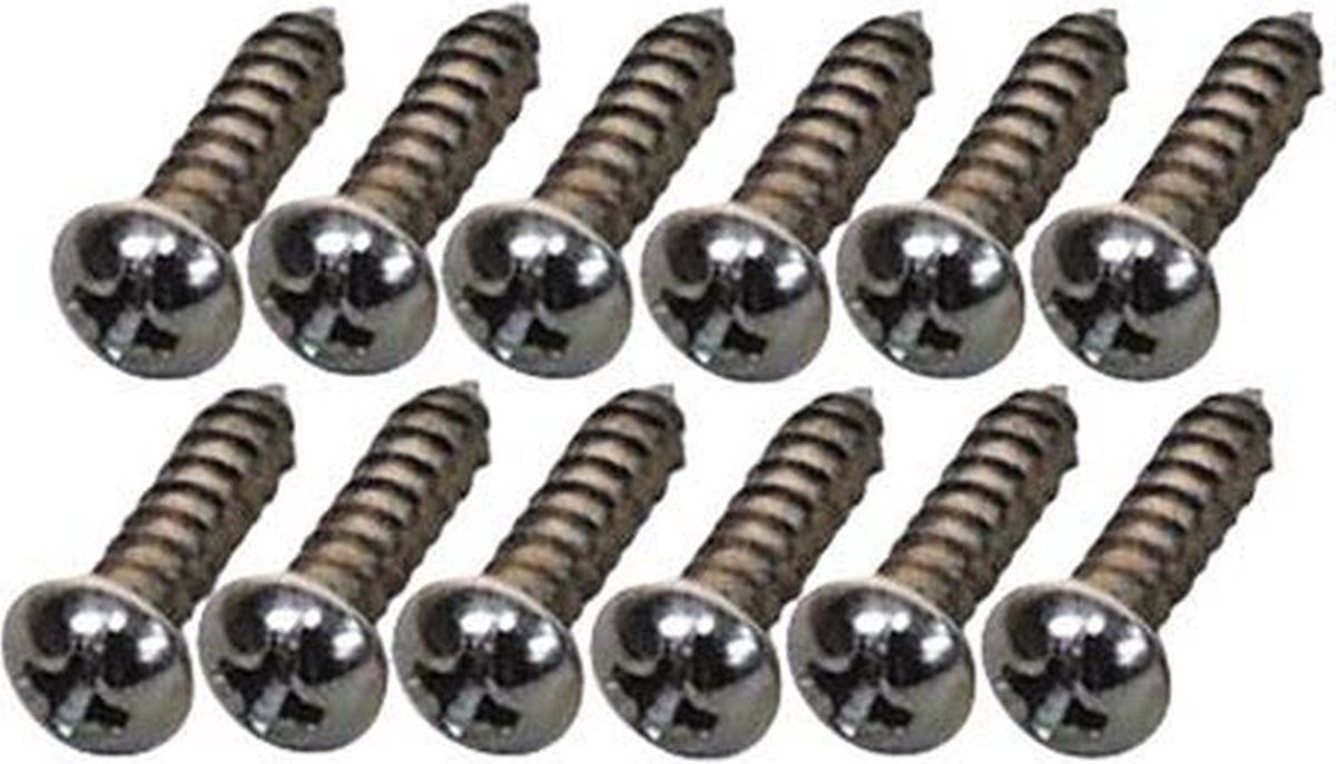 Fender Tuner Montage Schroeven #3 x 3/8 - 12 Stuks, Vintage Nickel