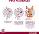 Stappenplan voor het aanbrengen van de Advantix pipet op de vacht van een bruine hond.
