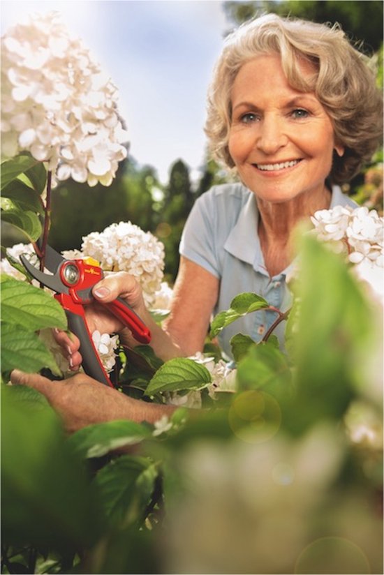 Vrolijke oudere vrouw met grijze krullen knipt met een rode en grijze snoeischaar bloemen.