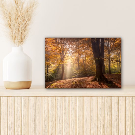 Peinture sur toile - Forêt - Automne - Lumière - Feuilles - Arbres - Canvasdoek - 30x20 cm - Peintures sur toile - Décoration murale