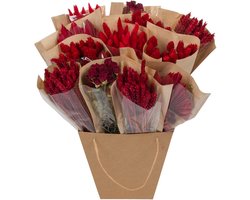 Green Harmony | Dried Mono Mix - Red - 50cm