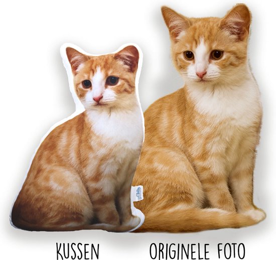 PillowBuddies - Oreiller câlin avec propre impression - 30 cm - de votre animal de compagnie, visage, véhicule, etc. - avec eigen photo - Coussin pour chien - Coussin pour chat