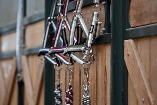 Boucle ardillon du licol