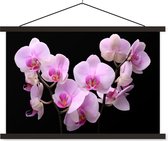 Posterhanger incl. Poster 60x40 cm - Schoolplaat - Orchidee - Bloemen - Roze - Flora - Textielposter - Zwarte latten