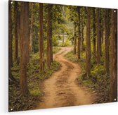 Artaza Glasschilderij - Pad In Het Bos Met Bomen - 75x60 - Plexiglas Schilderij - Foto op Glas