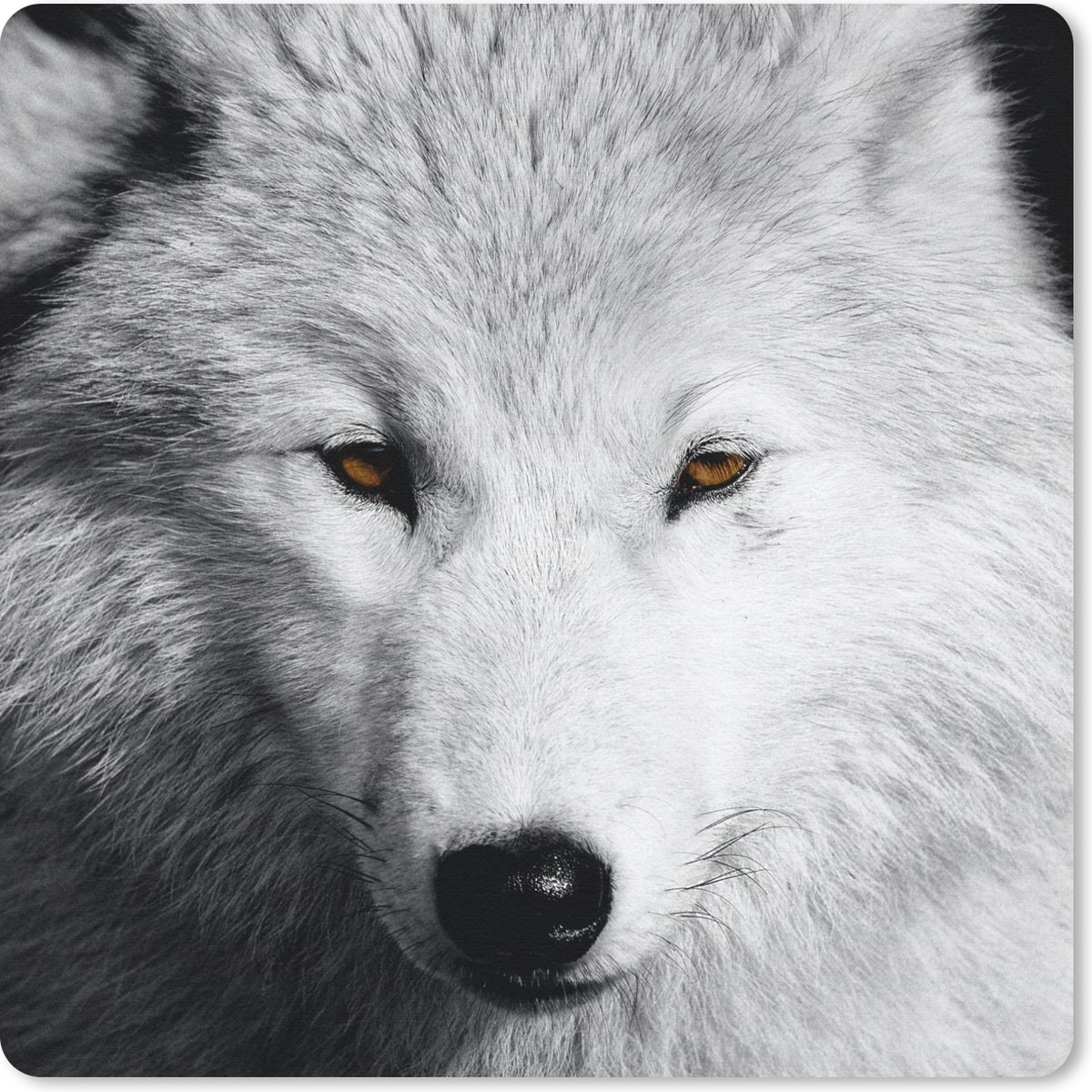 Muismat 30x30 cm - Mousepad Dichtbij weergeven wolf in zwart-wit - Muismatten