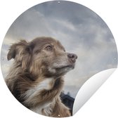 Tuincirkel Starende hond - 60x60 cm - Ronde Tuinposter - Buiten