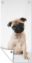 Schuttingposter Hond - Huisdieren - Portret - 100x200 cm - Tuindoek