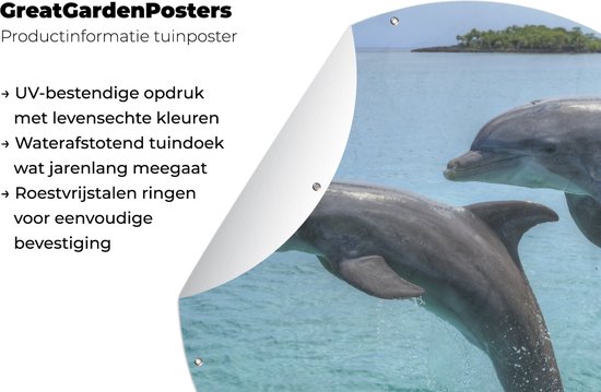 Garden Circle Dauphins pour les îles de la Baie - 150x150 cm - Poster de jardin rond - Extérieur