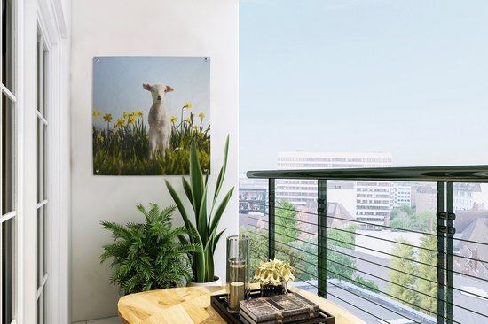 Posters de Posters de jardin Agneau parmi les fleurs jaunes - 50x50 cm
