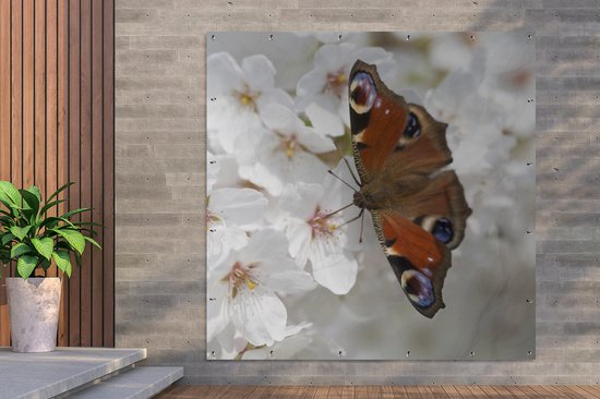 Poster Jardin Papillon paon sur fleur de cerisier - 200x200 cm - Toile jardin - Poster extérieur