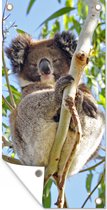 Tuinposter Koala - Lucht - Takken - Kinderen - Jongens - Meiden - 40x80 cm - Wanddecoratie Buiten - Tuinposter - Tuindoek - Schuttingposter - Tuinschilderij