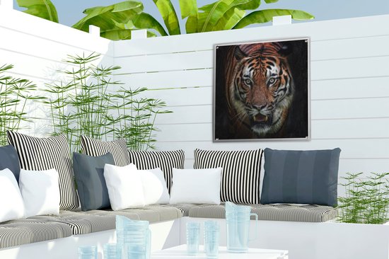 Tuinposters Tijger - Kop - Zwart - 50x50 cm - Tuindoek - Buitenposter
