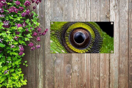 Poster jardin Yeux - Reptile - Vert - 80x40 cm - Décoration murale extérieur - Poster jardin - Toile jardin - Poster clôture - Tableau jardin