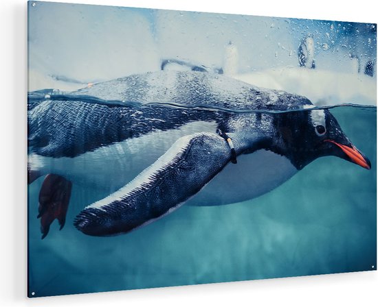 Artaza Glasschilderij - Pinguïn Zwemt in het Water - 135x90 - Groot - Plexiglas Schilderij - Foto op Glas