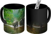 Magische Mok - Foto op Warmte Mokken - Koffiemok - Olifanten met hun trainers in een rivier - Magic Mok - Beker - 350 ML - Theemok