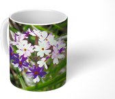 Mok - Primula tussen het hoge gras - 350 ML - Beker