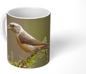 Mok -grijze gors op een met mos begroeide tak - 350 ML - Beker