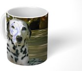 Mok - Hond in de zon met zijn pup - 350 ML - Beker