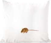 Souris - Animaux - Wit