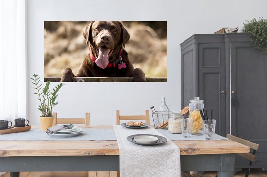 Poster Labrador Retriever regardant par-dessus une clôture - 150x75 cm