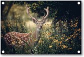 Hert in de herfst - Tuinposter 120x80 - Wanddecoratie - Dieren