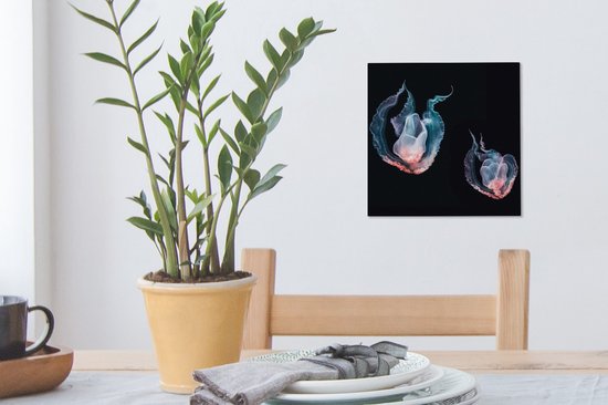 Tableau sur toile Méduse - Animaux aquatiques - Zwart - 20x20 cm - Décoration murale